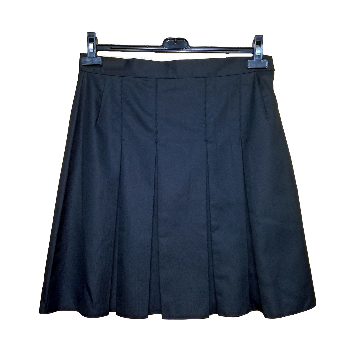 Pleated Black Skirt 